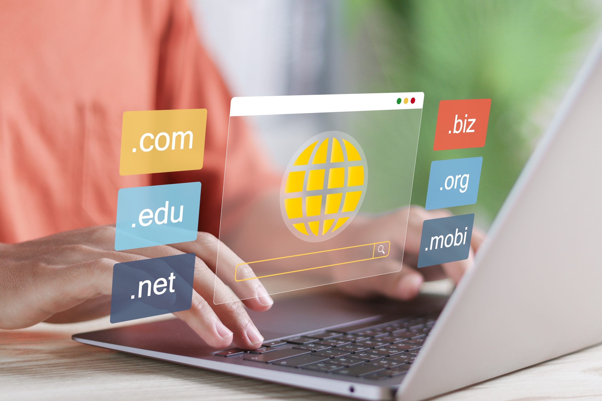Domain Registration